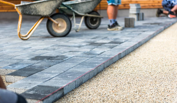 Best Local Driveway Pavers  in Roseau, MN